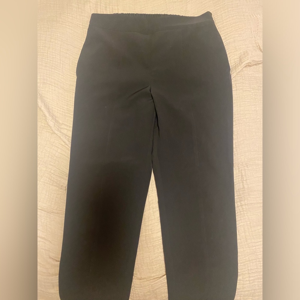 Vince Camuto silky pant with waist band. High waisted fit.